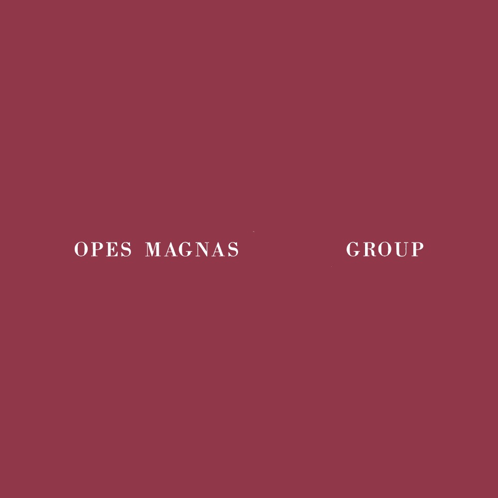 OPES MAGNAS GROUP LIMITED