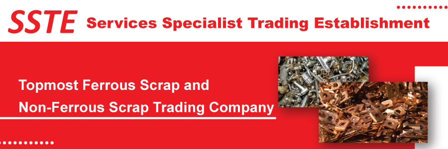 Services Specialist Trading Establishment