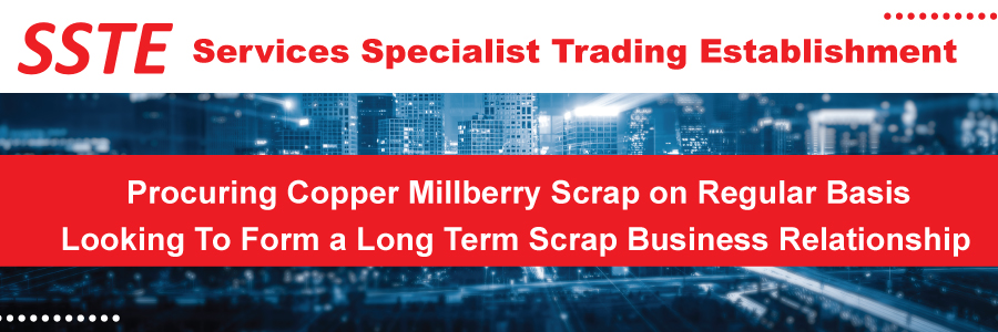 Services Specialist Trading Establishment
