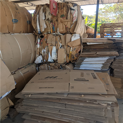 Exporting "Cardboard Scrap" from "Santo Domingo"