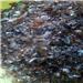 Supplying 50 MT of Brown PET Flakes per Month from Apapa, Lagos