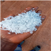 Exporting White PET Preform Flakes of 60 MT on a Monthly Basis from Apapa, Lagos